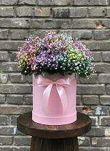 Цветочная композиция из Гипсофила и Розы в шляпной коробке #REPLACE_PRED# Каменске-Шахтинском