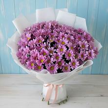 Букет цветов из:  Хризантемы в Каменске-Шахтинском