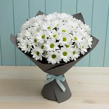 Букет цветов из:  Хризантемы в Каменске-Шахтинском