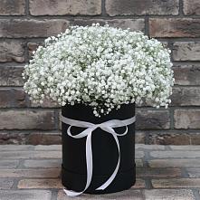 Цветочная композиция из Гипсофила в шляпной коробке в Каменске-Шахтинском
