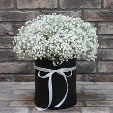 Цветочная композиция из Гипсофила в шляпной коробке в Каменске-Шахтинском