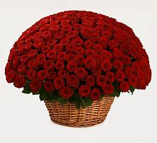 Премиум букет из: Розы в Каменске-Шахтинском