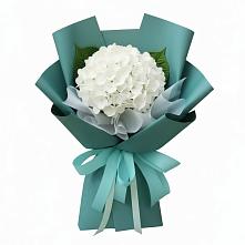 Букет цветов из:  Гортензия в Каменске-Шахтинском
